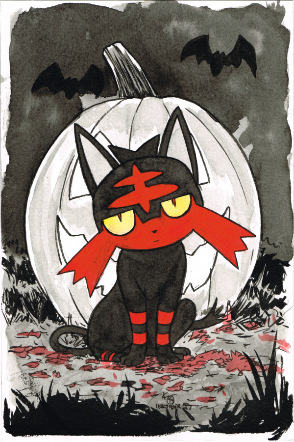 27 litten